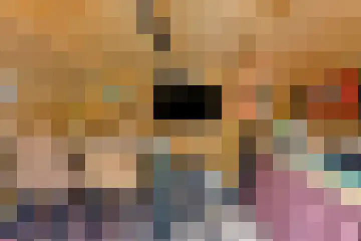 het Egbertink 136 Losser thumbnail 36