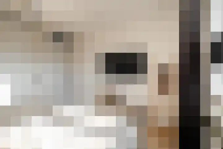 het Egbertink 16 Losser thumbnail 21