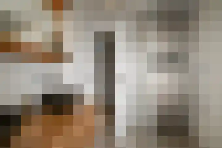 het Egbertink 16 Losser thumbnail 28