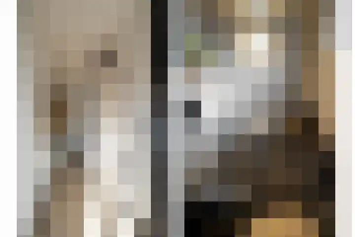 het Egbertink 16 Losser thumbnail 5