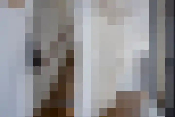 het Egbertink 70 Losser thumbnail 10