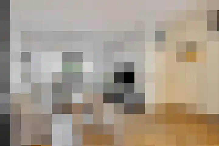 het Egbertink 70 Losser thumbnail 11