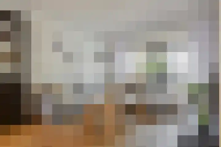 het Egbertink 70 Losser thumbnail 12