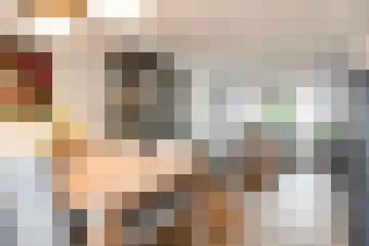 het Egbertink 70 Losser thumbnail 17