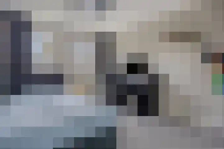 het Egbertink 70 Losser thumbnail 21