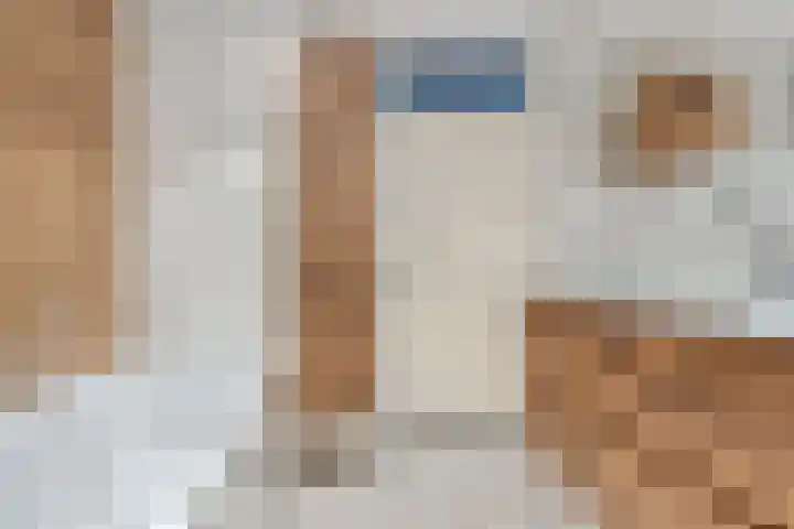 het Egbertink 70 Losser thumbnail 25