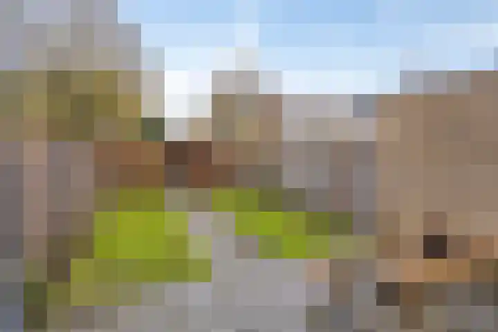 het Egbertink 70 Losser thumbnail 28