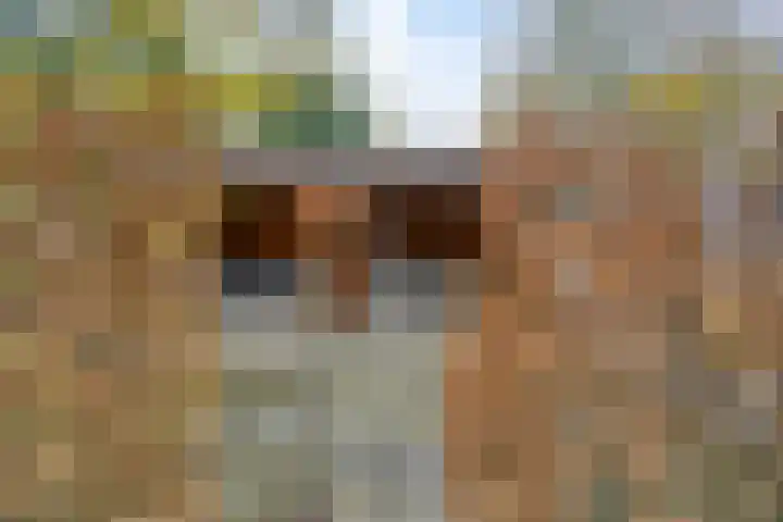 het Egbertink 70 Losser thumbnail 29