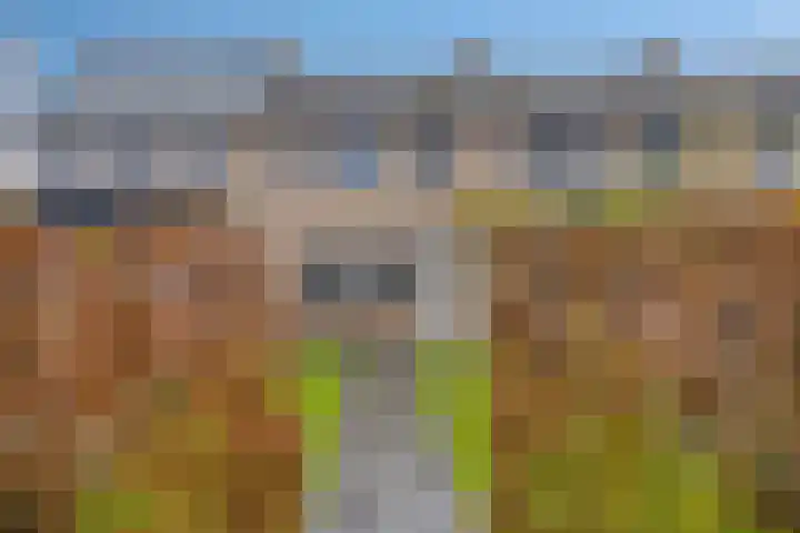 het Egbertink 70 Losser thumbnail 32