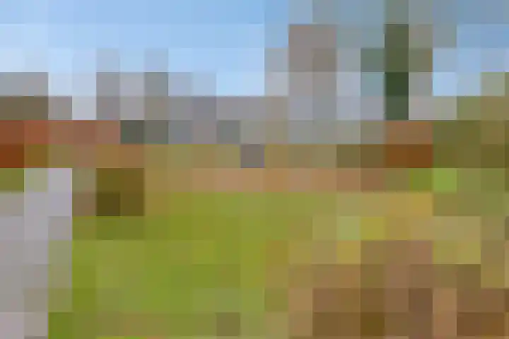 het Egbertink 70 Losser thumbnail 35