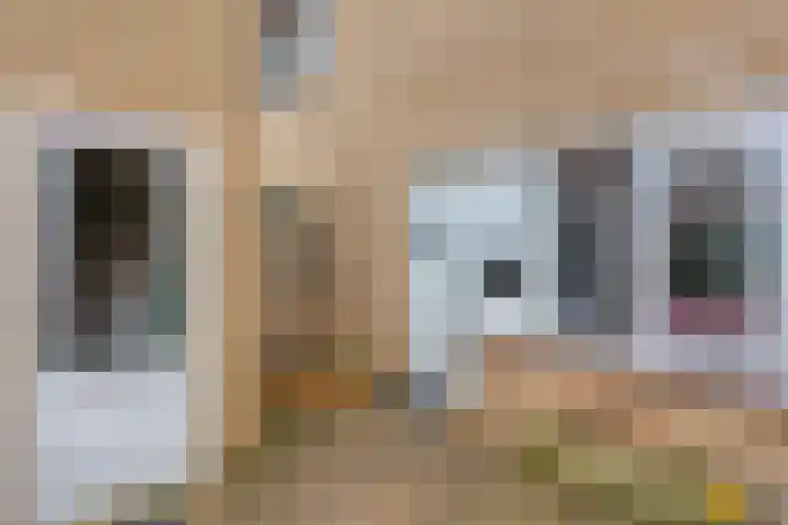 het Egbertink 70 Losser thumbnail 8