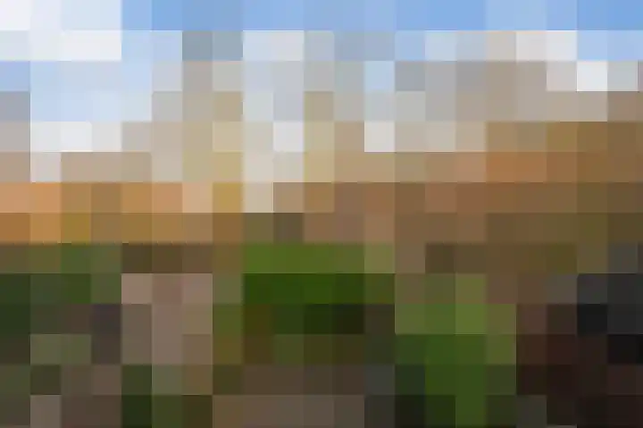 Het Eiland 2 Warnsveld thumbnail 31