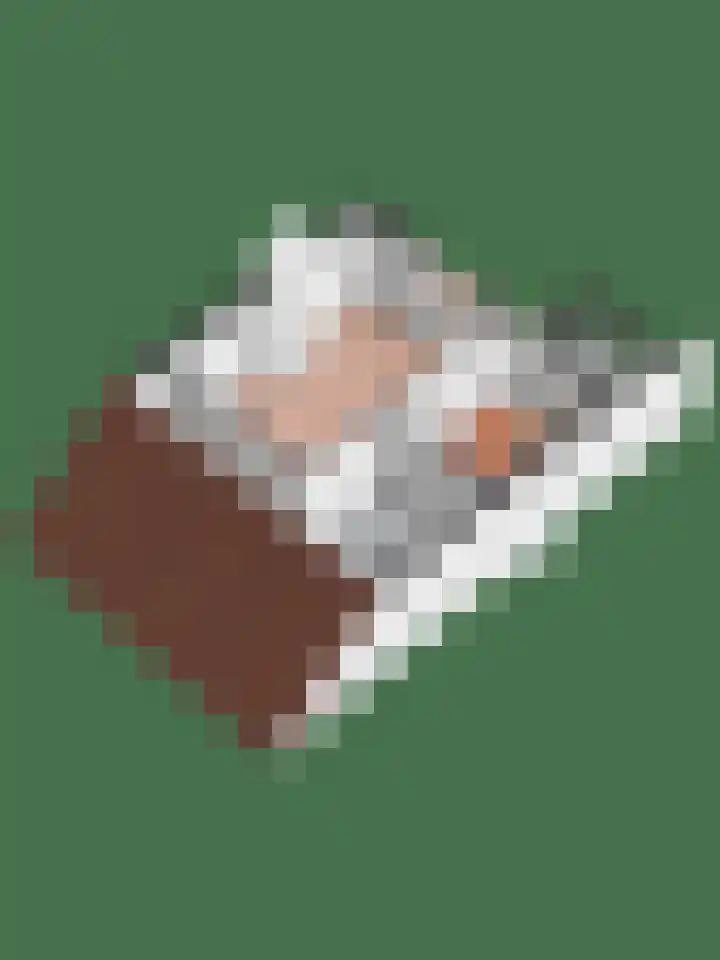 Het Eiland 2 Warnsveld thumbnail 41