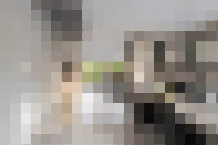 Het Eiland 2 Warnsveld thumbnail 8