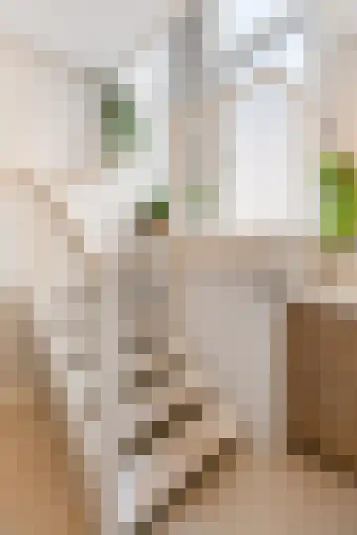 Het Eiland 35 Doetinchem thumbnail 41