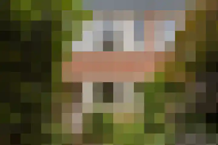 Het Eiland 44 in Warnsveld