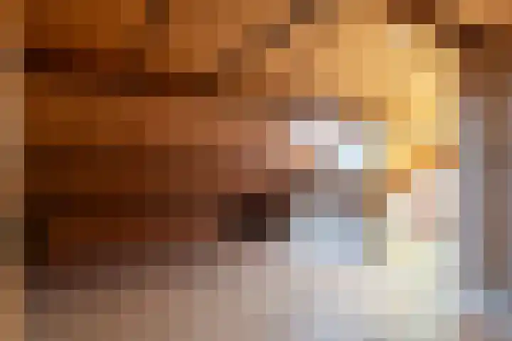 Het Einde 22 Elsloo thumbnail 27