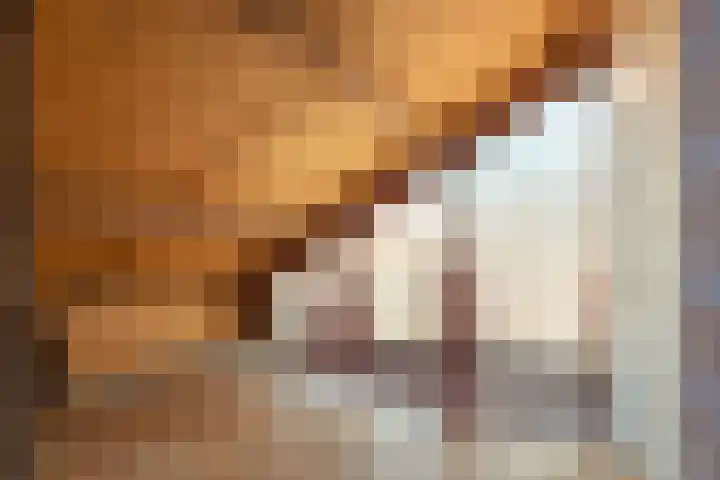 Het Einde 22 Elsloo thumbnail 28