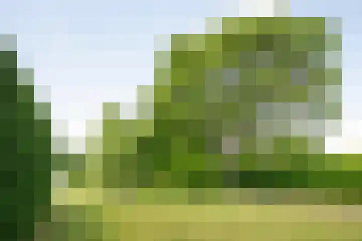 Het Einde 22 Elsloo foto 3