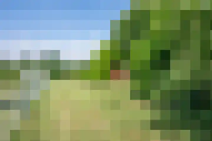 Het Einde 22 Elsloo thumbnail 32