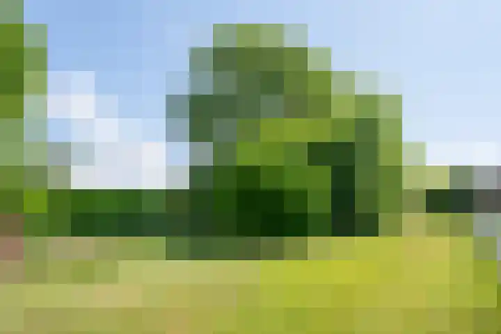 Het Einde 22 Elsloo thumbnail 33