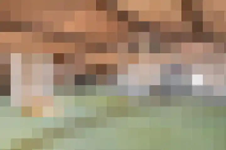 Het Einde 29 Elsloo thumbnail 13