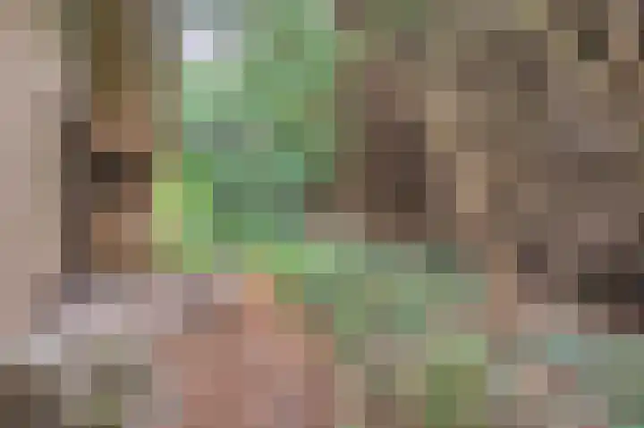 Het Einde 29 Elsloo thumbnail 29