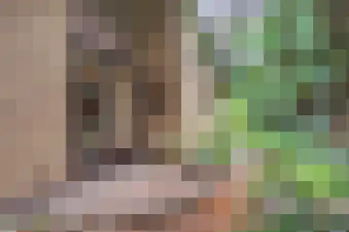 Het Einde 29 Elsloo thumbnail 30