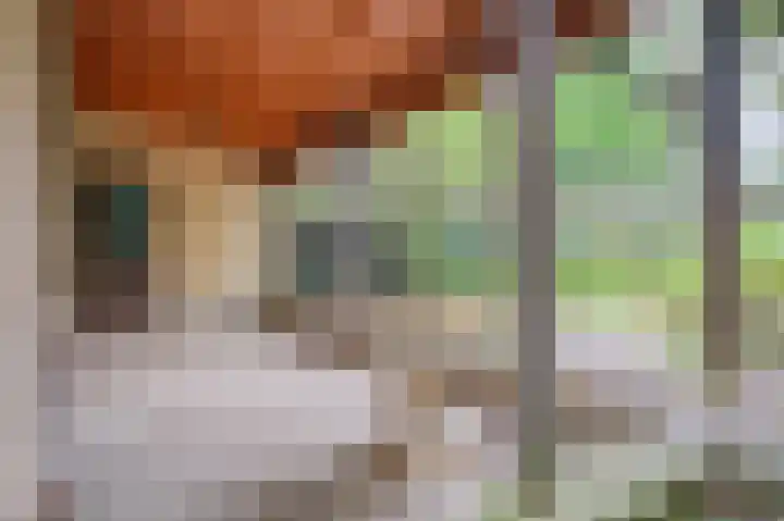 Het Einde 29 Elsloo thumbnail 31