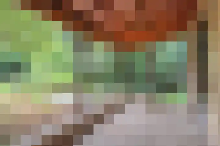 Het Einde 29 Elsloo thumbnail 32