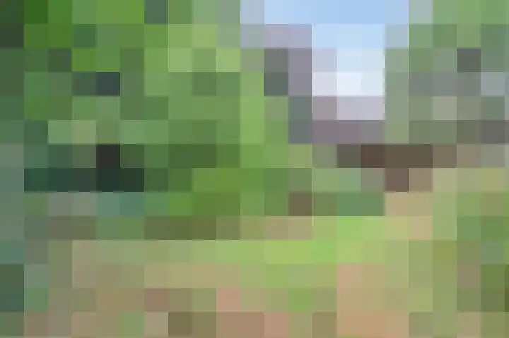 Het Einde 29 Elsloo thumbnail 34