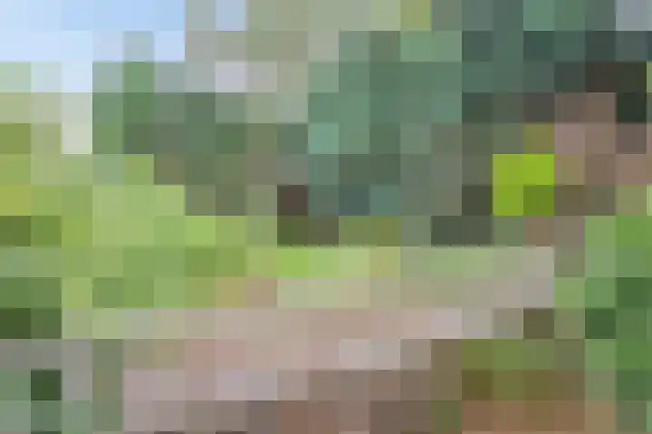 Het Einde 29 Elsloo thumbnail 35
