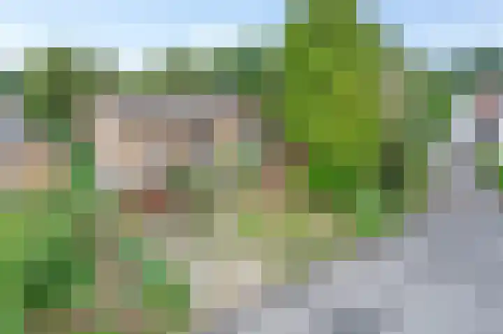 Het Einde 29 Elsloo thumbnail 38