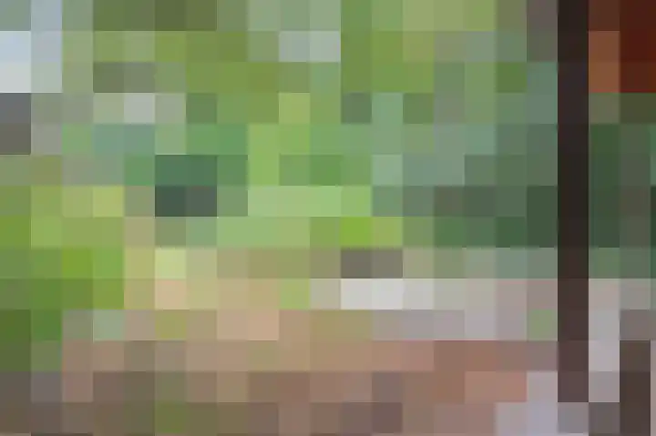 Het Einde 29 Elsloo thumbnail 4