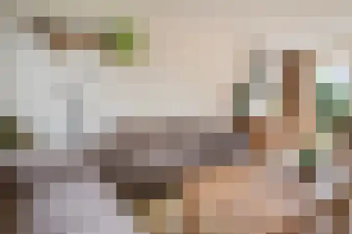 Het Elferink 75 Diepenheim thumbnail 12