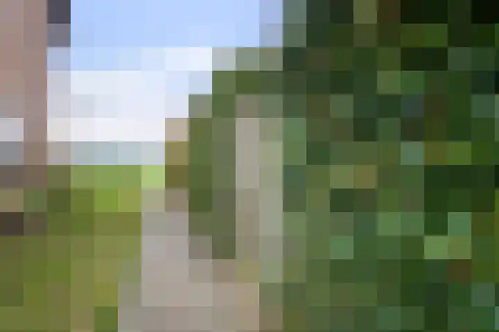 Het Elferink 75 Diepenheim thumbnail 28