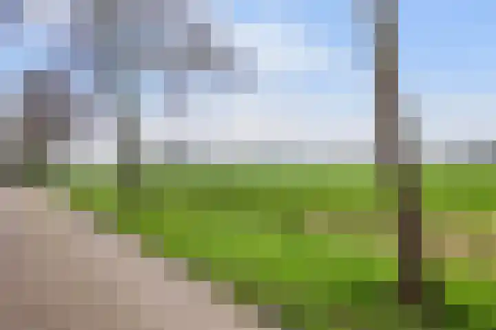 Het Elferink 75 Diepenheim thumbnail 30