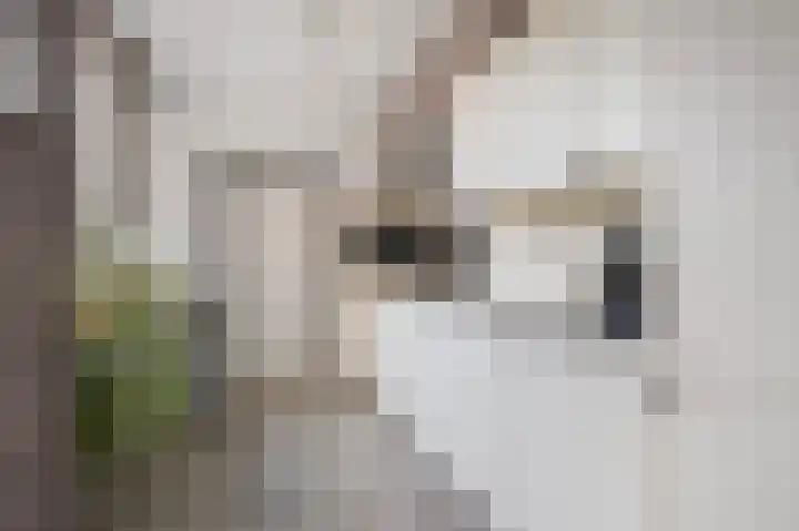 Het Elferink 75 Diepenheim thumbnail 7