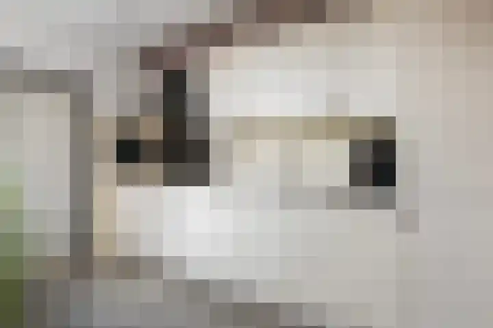 Het Elferink 75 Diepenheim thumbnail 8