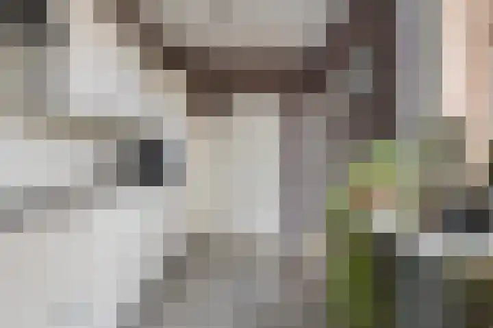 Het Elferink 75 Diepenheim thumbnail 9