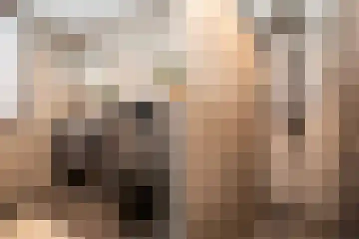 Het Erf 120 Biddinghuizen foto 2