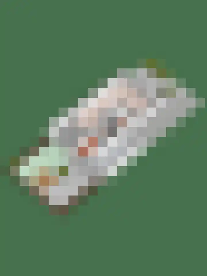 Het Erf 120 Biddinghuizen thumbnail 33