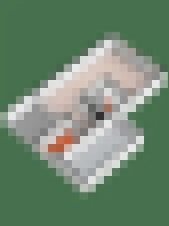 Het Erf 120 Biddinghuizen thumbnail 34