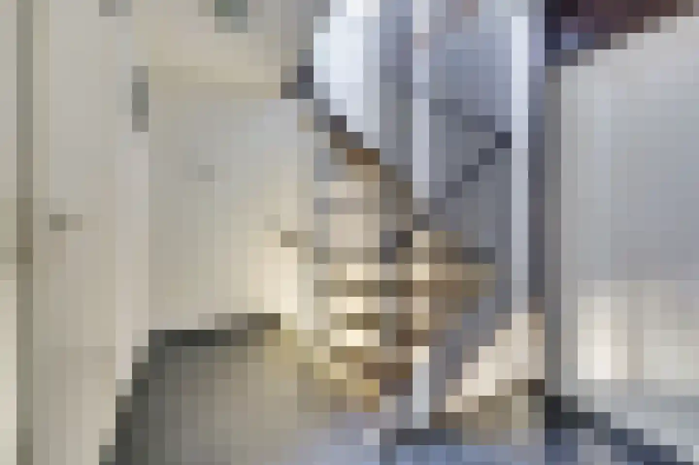 Het Erf 89 Biddinghuizen thumbnail 12