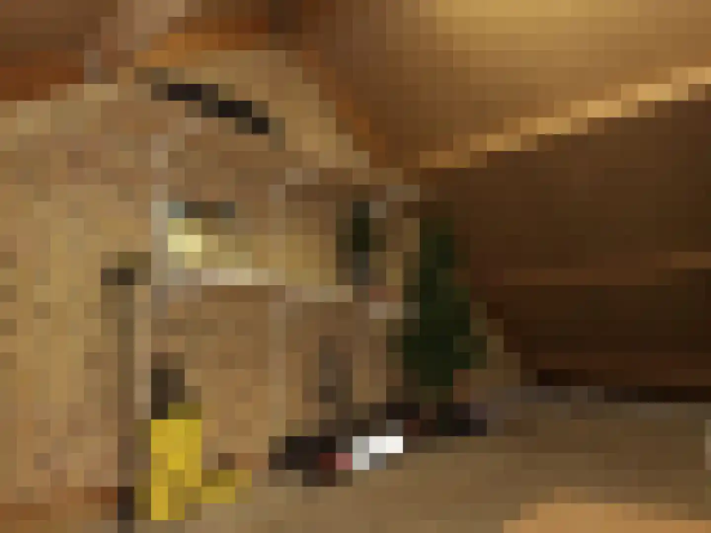 Het Erf 89 Biddinghuizen thumbnail 25