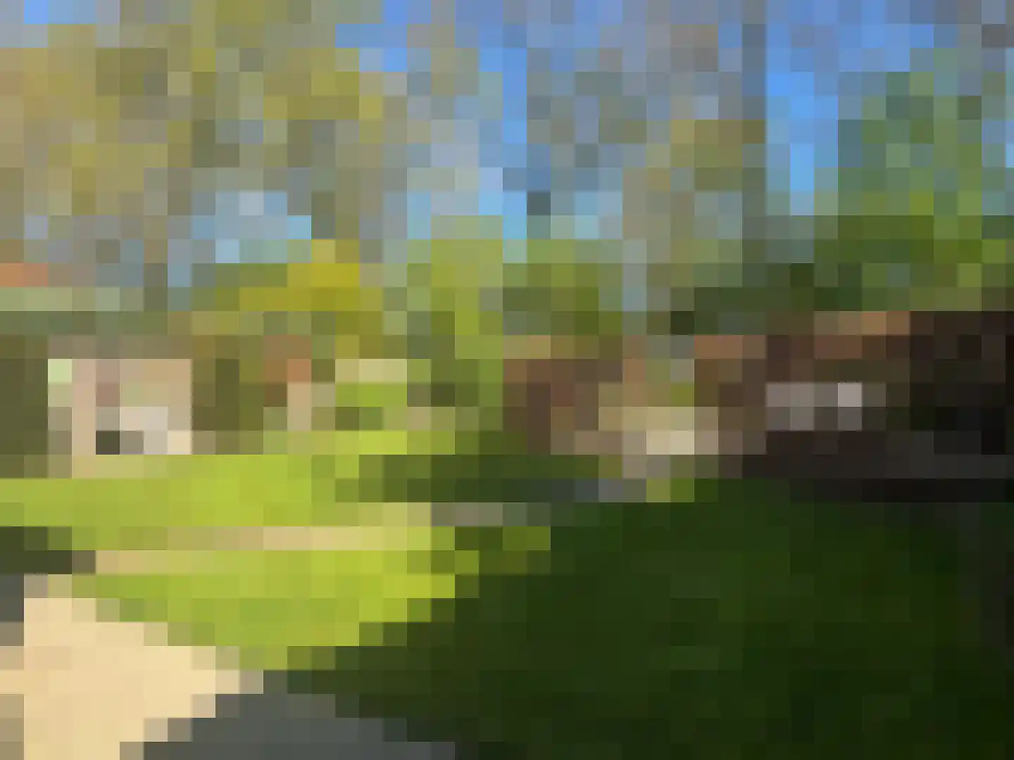 Het Erf 89 Biddinghuizen thumbnail 27