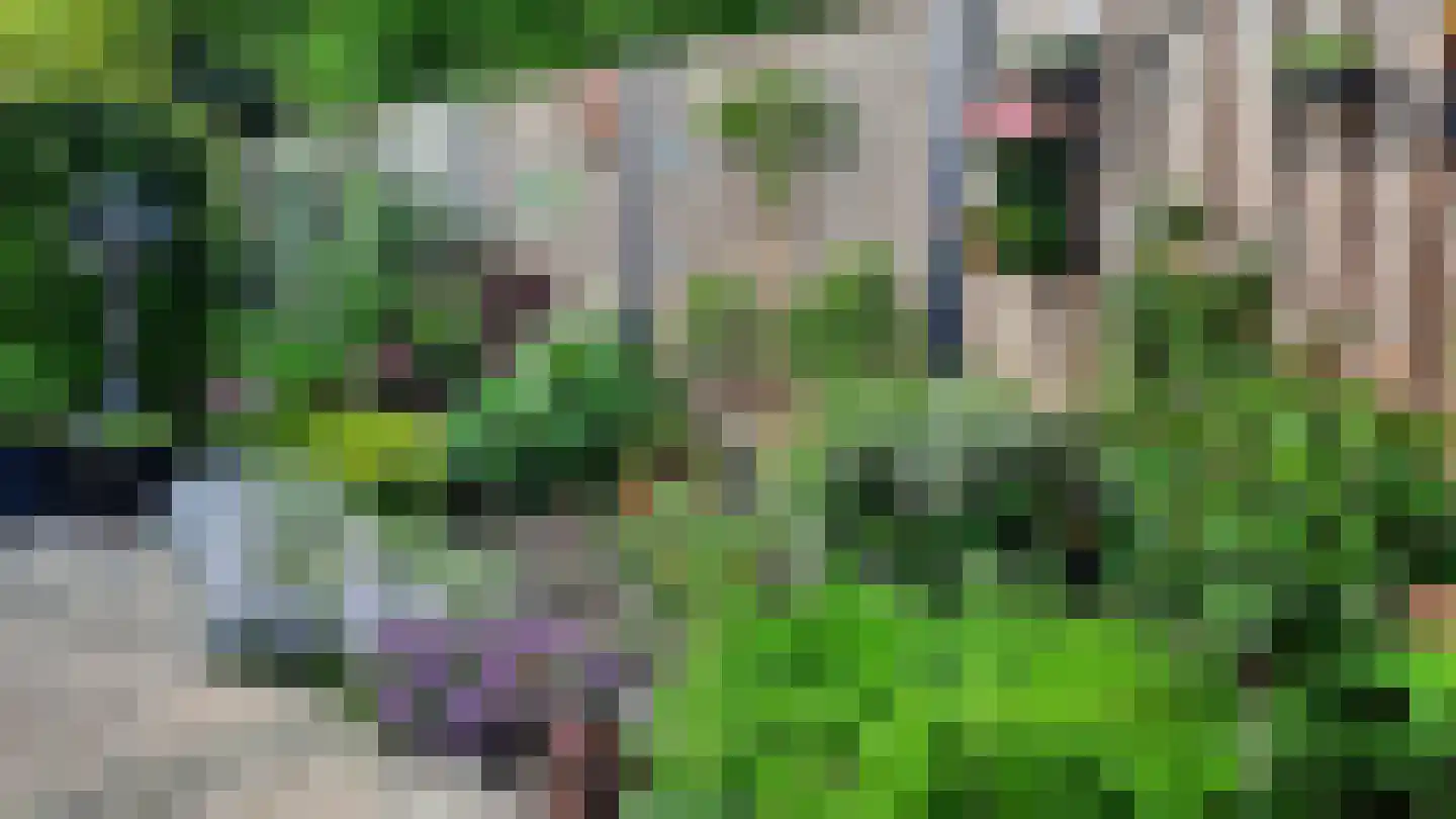 Het Erf 89 Biddinghuizen thumbnail 34