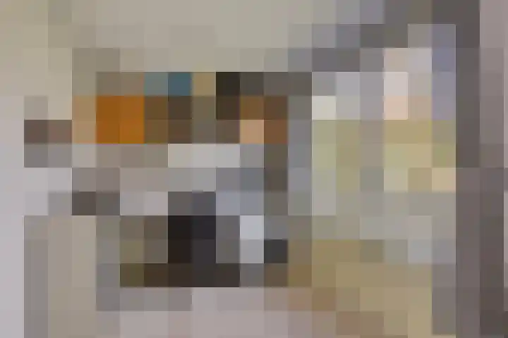 Het Erf 91 Biddinghuizen thumbnail 17