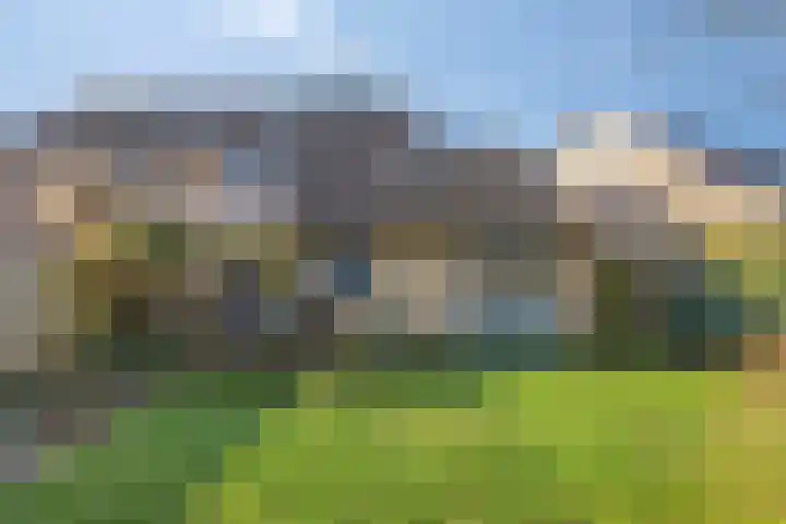 Het Erf 91 Biddinghuizen thumbnail 38