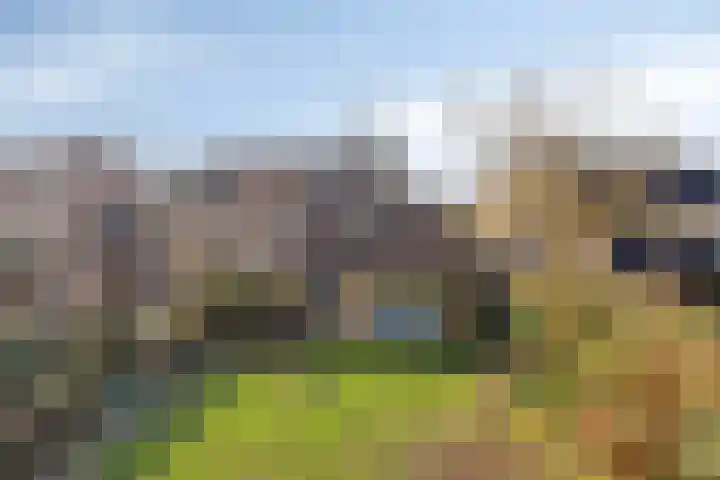 Het Erf 91 Biddinghuizen thumbnail 39